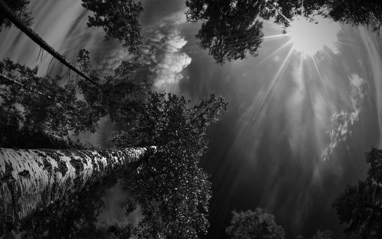 Dreaming before the thunder von Mikael Jigmo