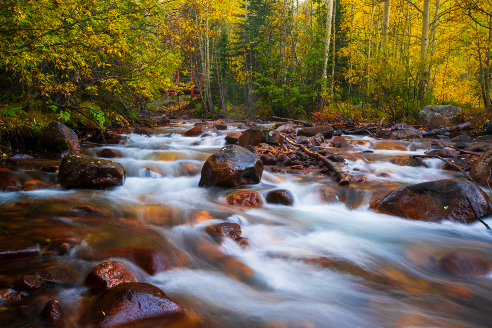 Fall Color von Mike He