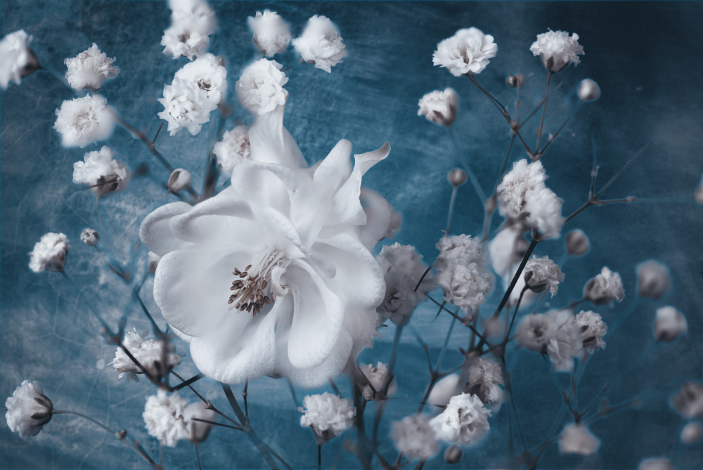 Columbine von Mike Kreiten