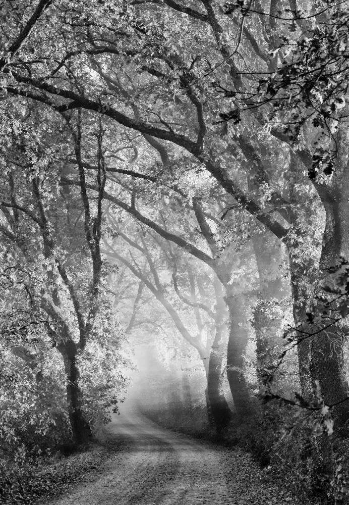 Toskanische Traumgasse von Mike Kreiten