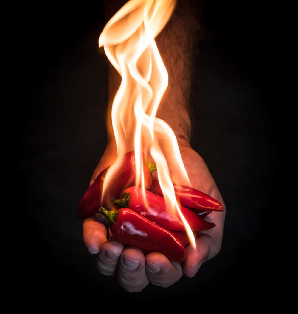 Red Hot Chili Peppers von Mike Melnotte