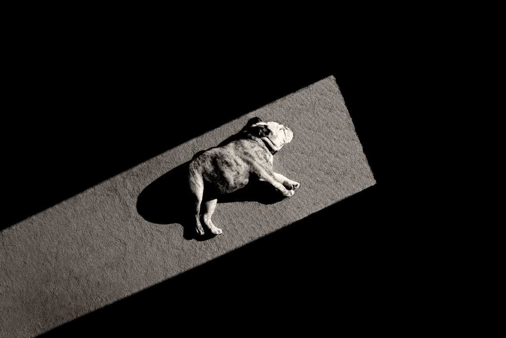 Solar Non-Powered von Mike Melnotte