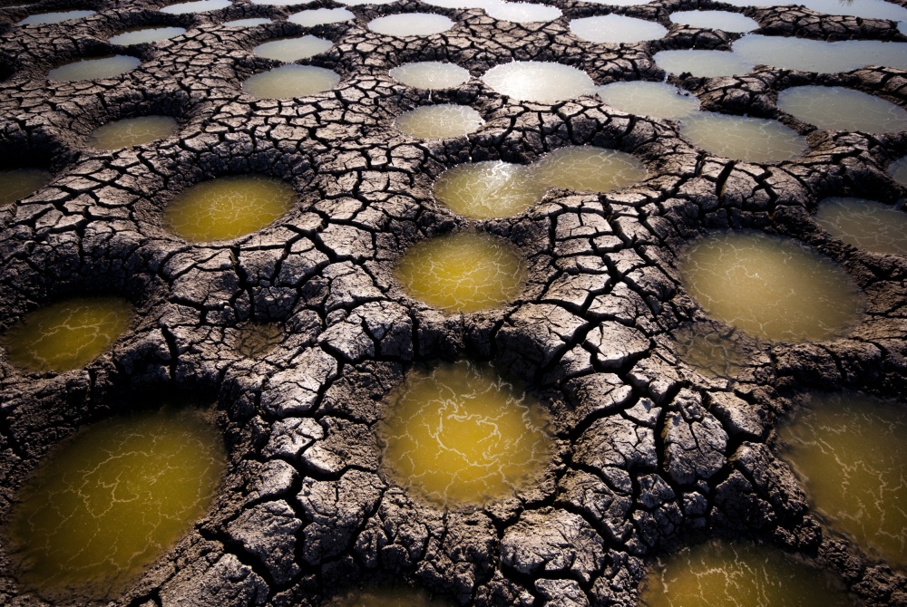 In the midst of nature von Miki Meir Levi