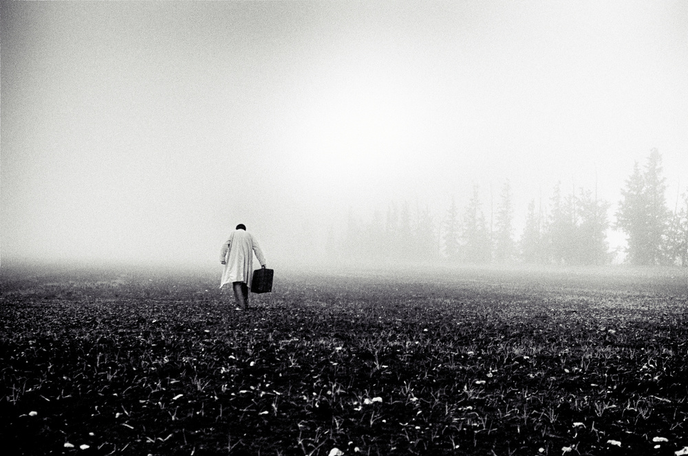 untitledl von Miki Meir Levi