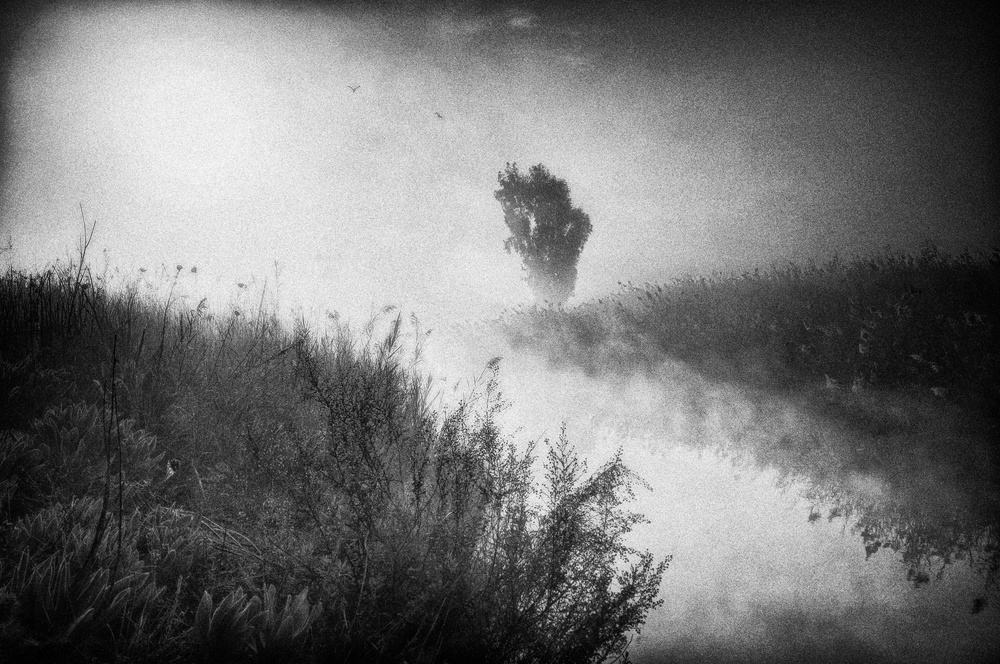 untitledl von Miki Meir Levi