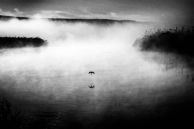 Untitled von Miki Meir Levi