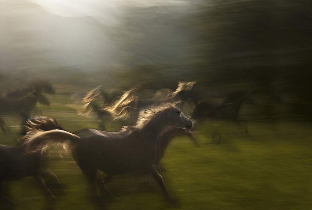 Evevning von Milan Malovrh