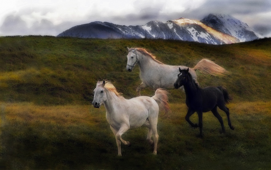 Evening performance von Milan Malovrh