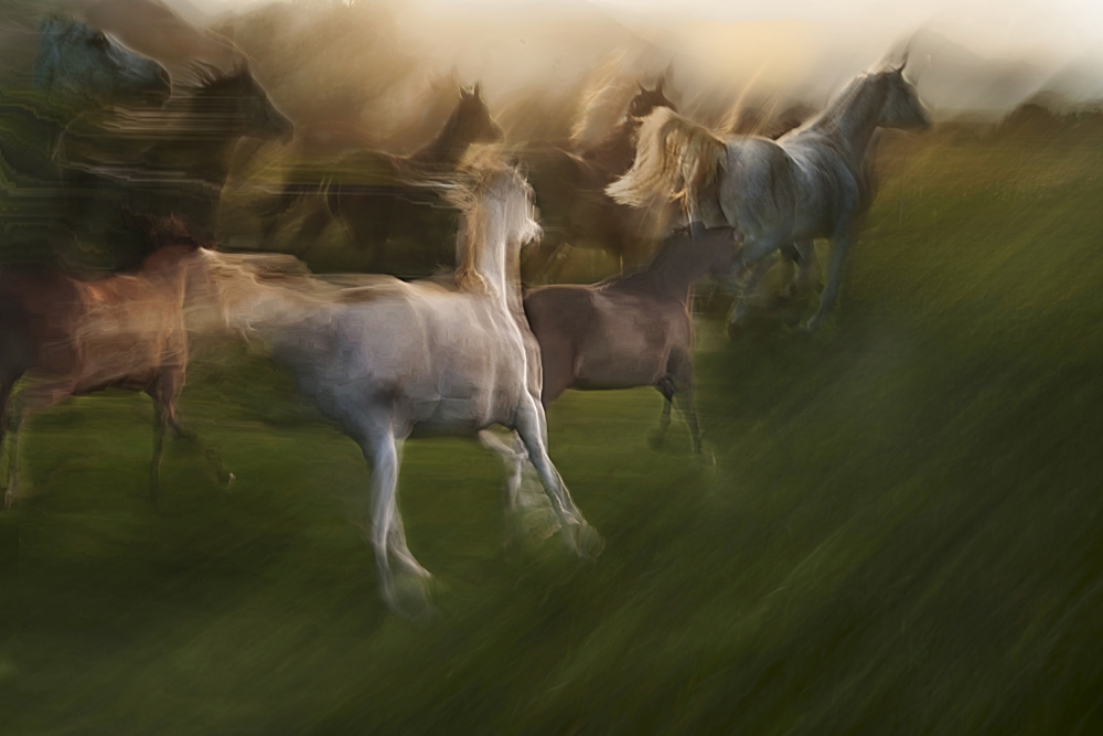 up and down von Milan Malovrh