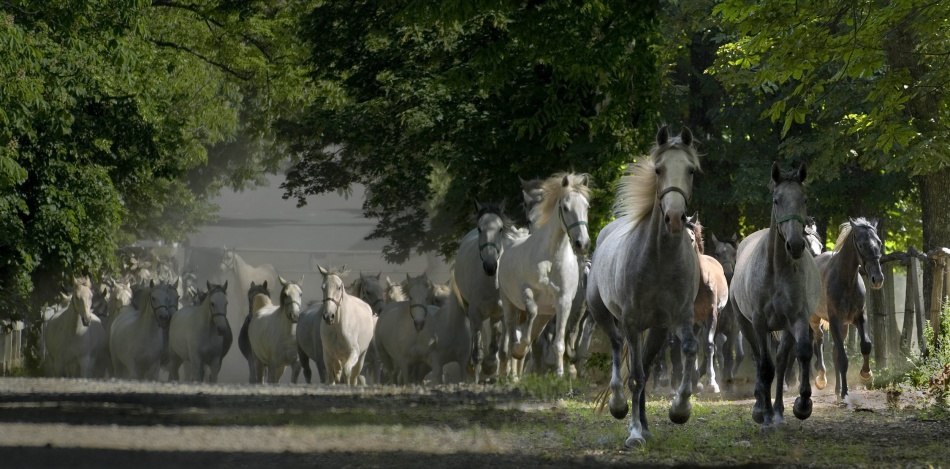 LEAVING OUT von Milan Malovrh