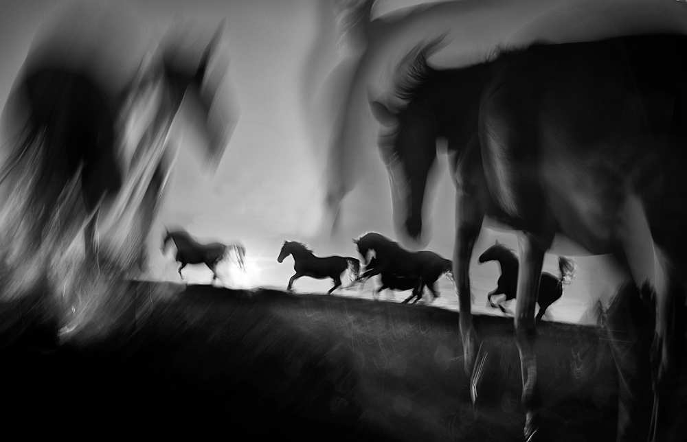 Deliverance von Milan Malovrh