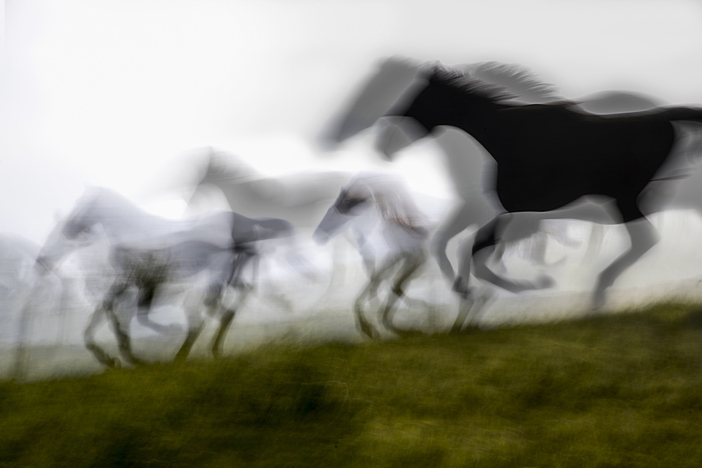 down the hill von Milan Malovrh