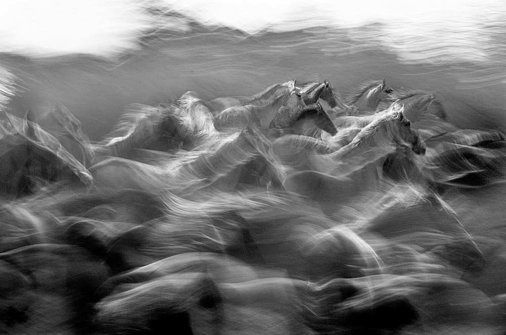 dir von Milan Malovrh