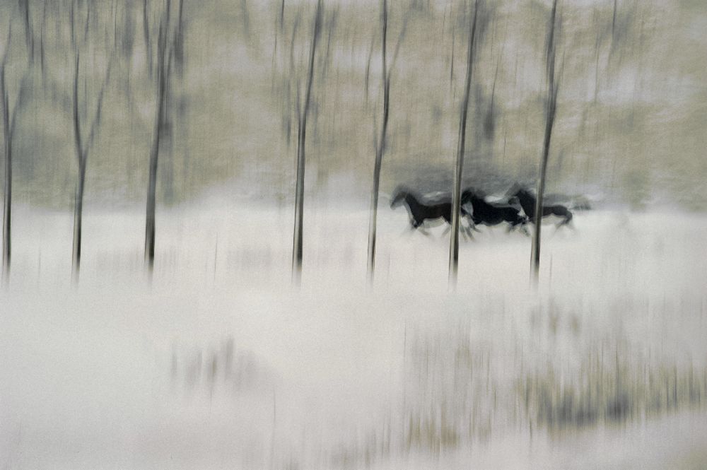 drei von Milan Malovrh