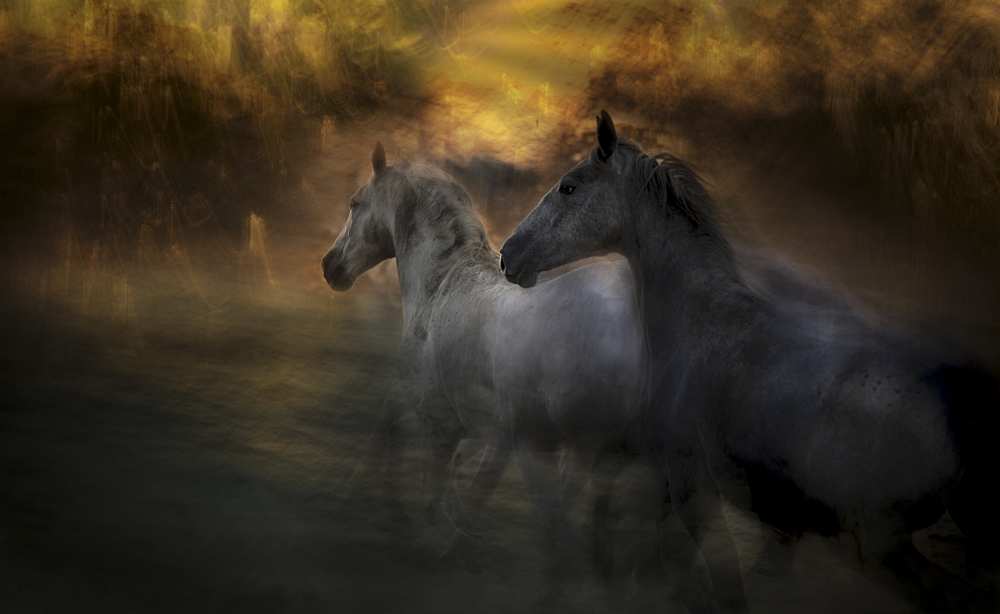 Duel von Milan Malovrh