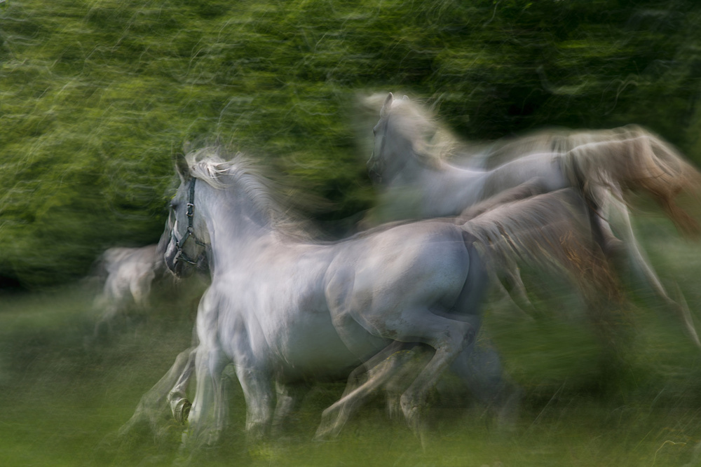 Duel von Milan Malovrh