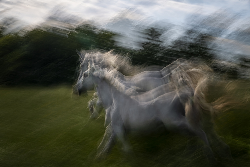 Duel von Milan Malovrh