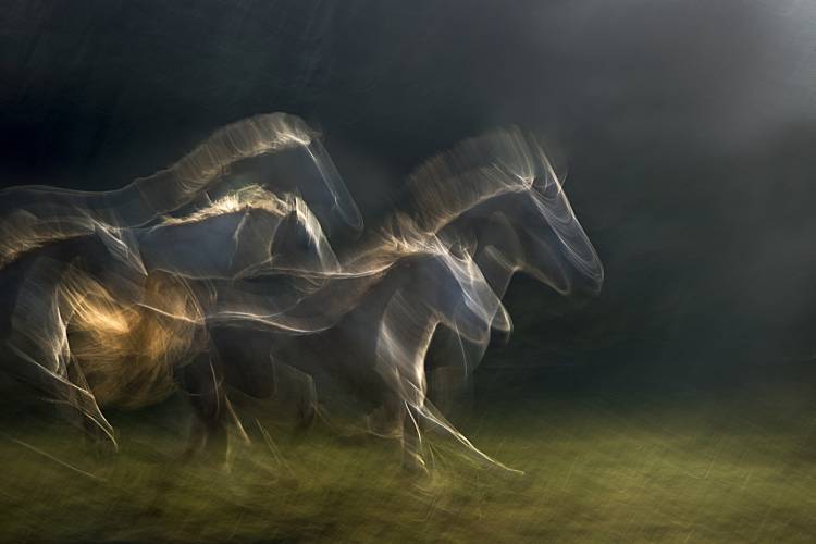 echoing in motion von Milan Malovrh