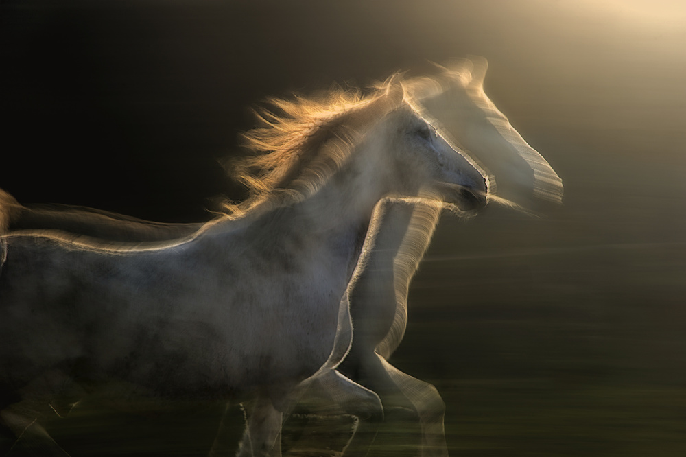 Echoes of light von Milan Malovrh