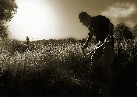 a survival to the old way