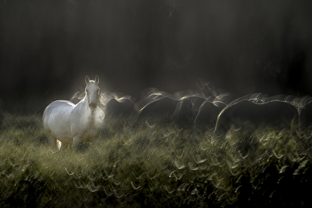 Atension von Milan Malovrh