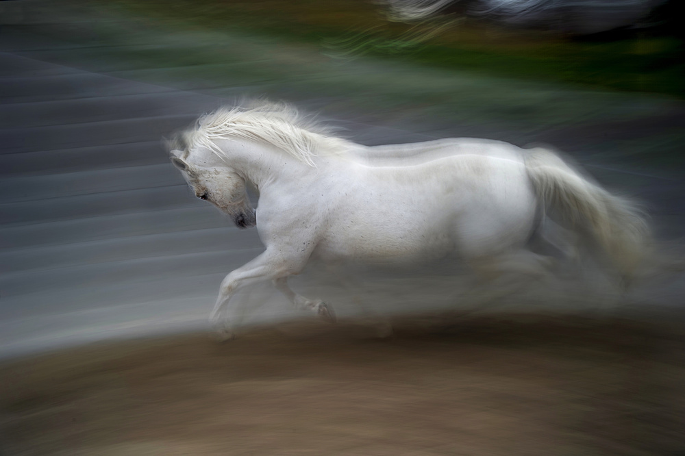 elegance von Milan Malovrh