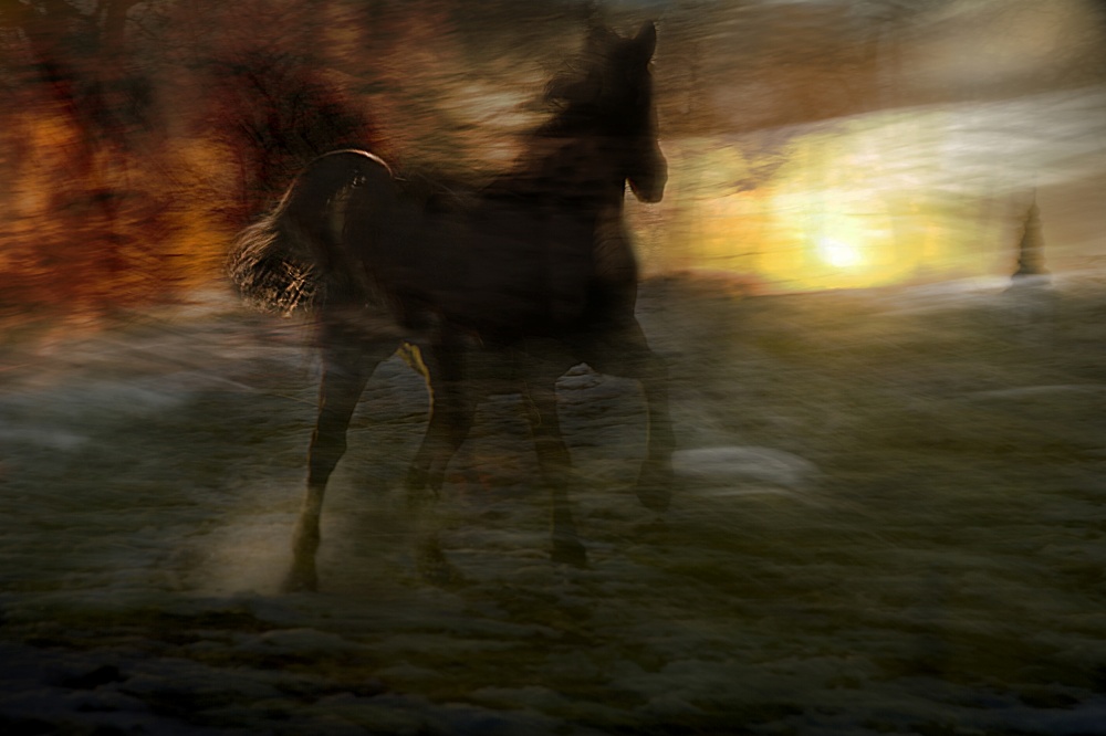 horses of fire von Milan Malovrh