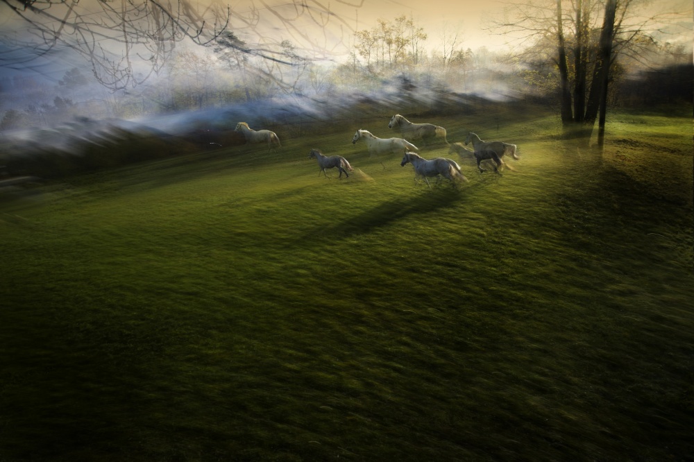 escape von Milan Malovrh