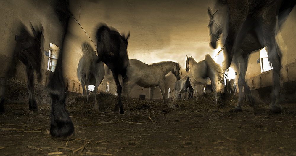 escape re von Milan Malovrh