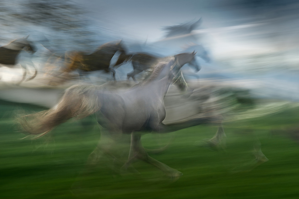 Speed von Milan Malovrh