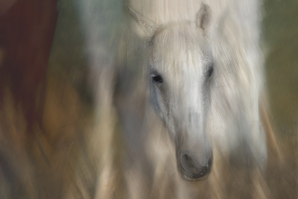 I am the one von Milan Malovrh