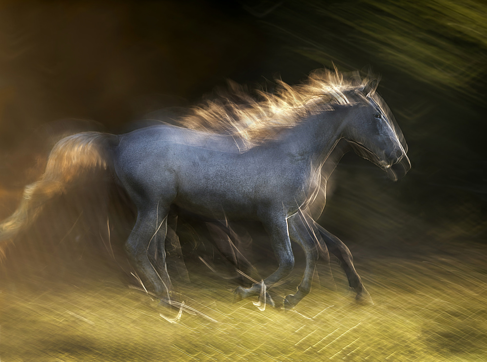 in the element von Milan Malovrh