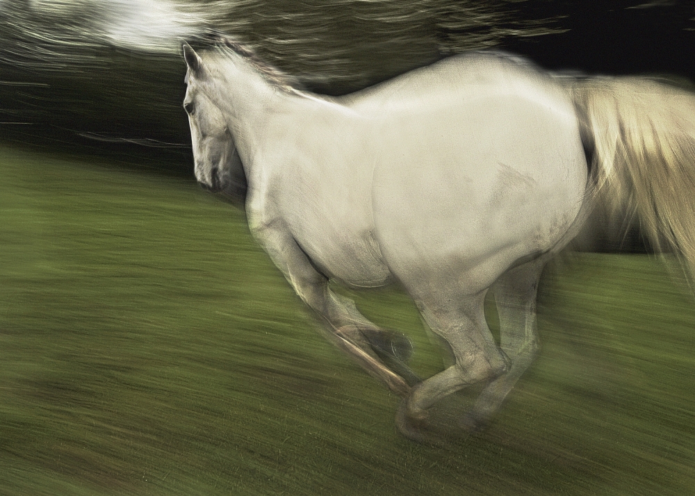 In element von Milan Malovrh