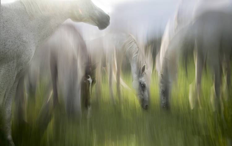 Impression von Milan Malovrh