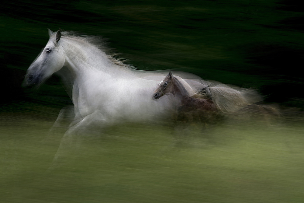 in nspeed von Milan Malovrh