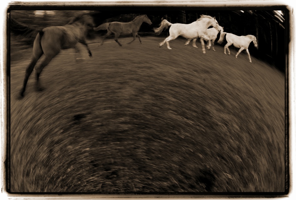 Circular motion von Milan Malovrh