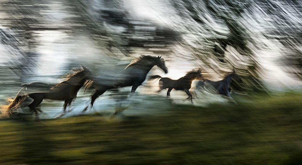 Light and shadows von Milan Malovrh