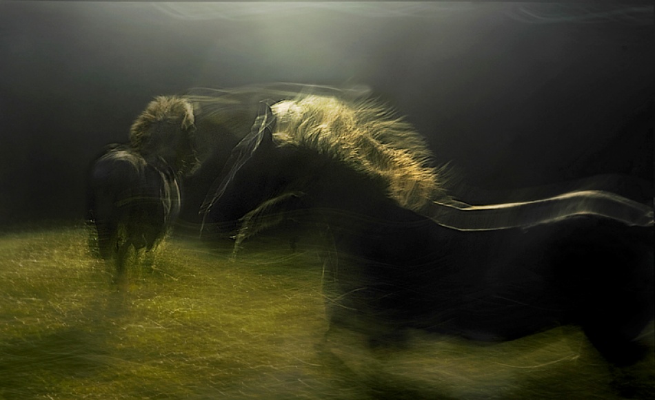 Mystification 2 von Milan Malovrh