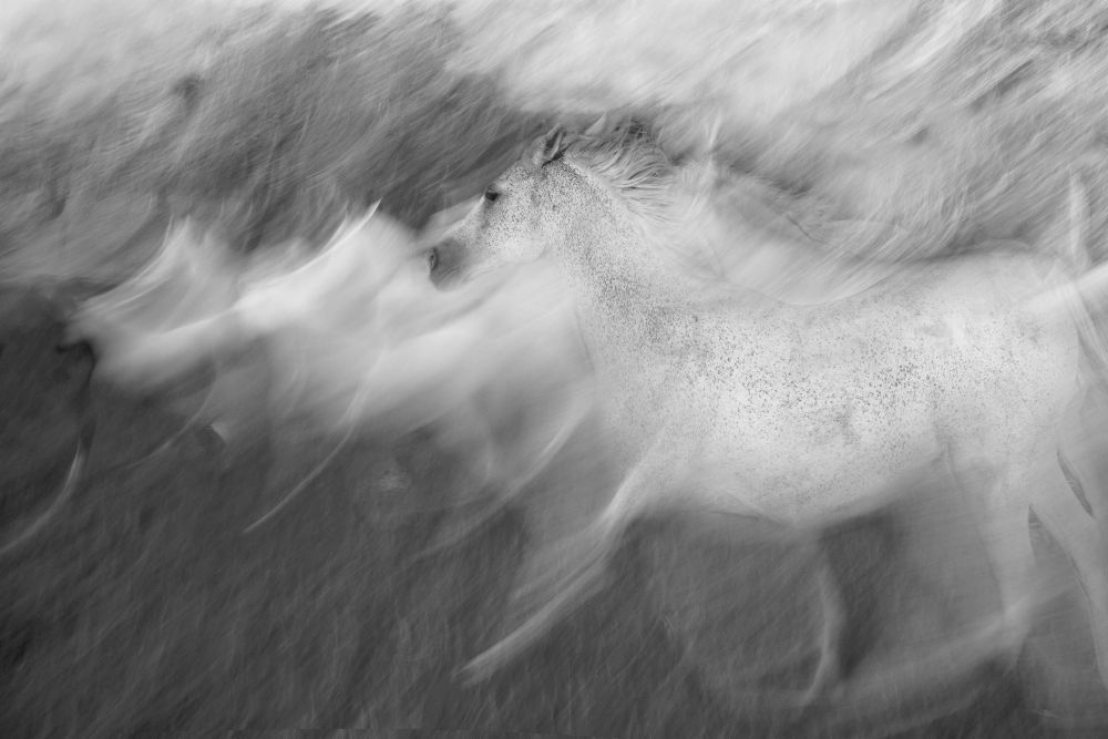 Mystisches Weiß von Milan Malovrh