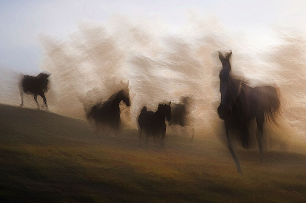 Ohne Titel von Milan Malovrh