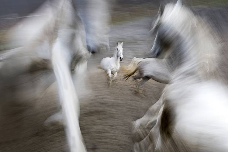 Play Ground von Milan Malovrh