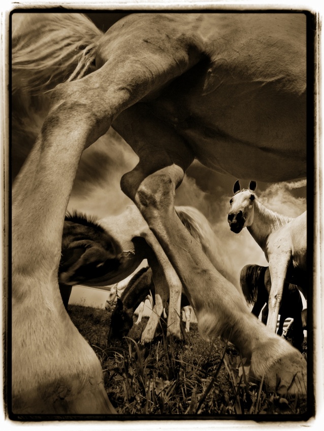 PROMENADE von Milan Malovrh