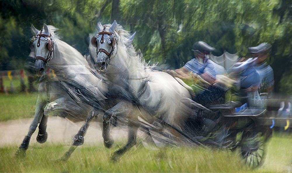 Race in marathon von Milan Malovrh