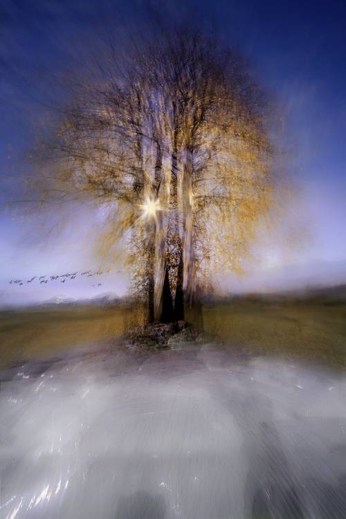 round von Milan Malovrh