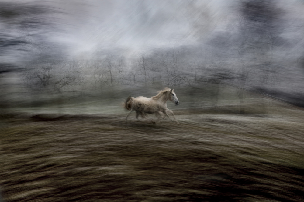 solo von Milan Malovrh