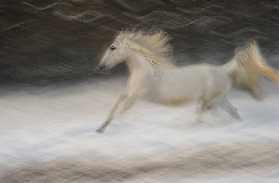 solo von Milan Malovrh