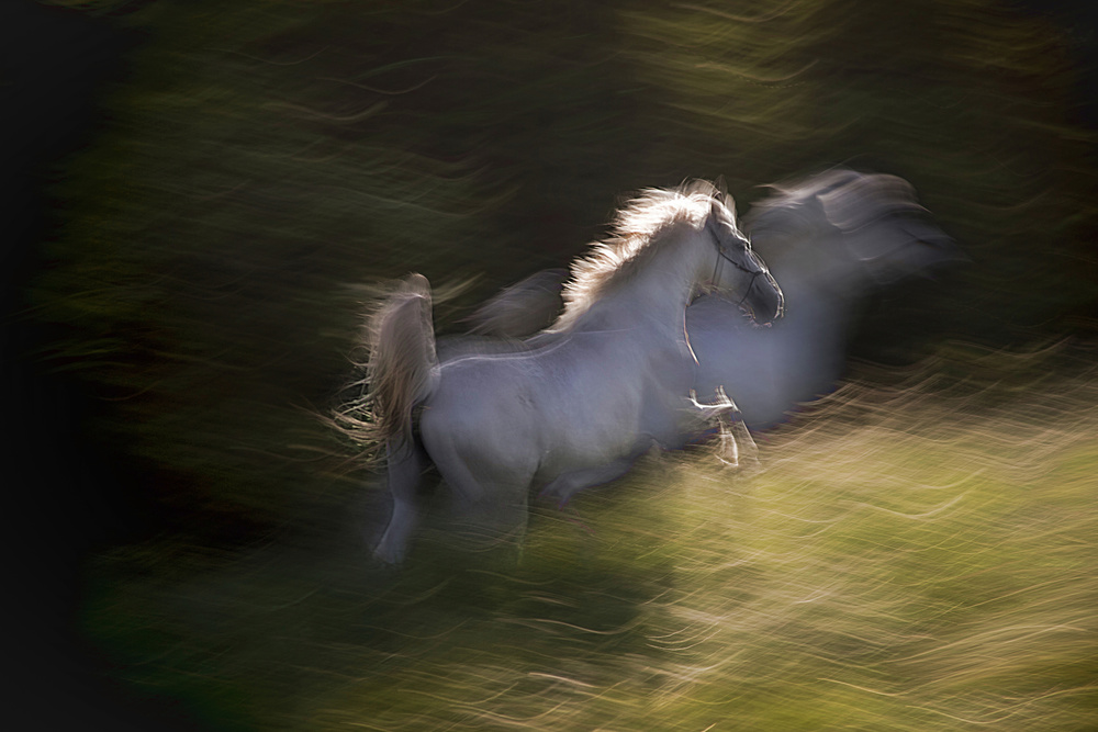 Stile von Milan Malovrh