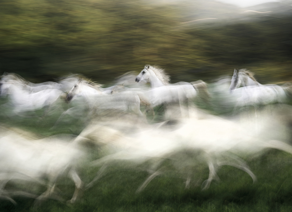 past von Milan Malovrh