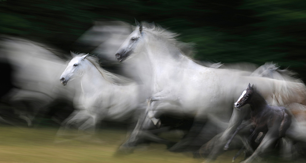 wave energy von Milan Malovrh