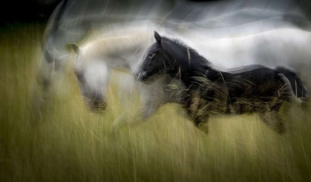 time of growth von Milan Malovrh